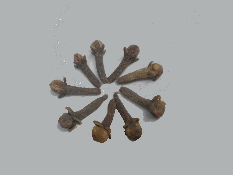 丁香
